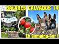 Balades dans le calvados  france passion et fte des nes  vanlife campingcar normandie