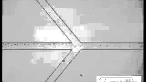 Integrated Immunoisolation and Protein Analysis of Circulating Exosomes Using Microfluidic Technolog