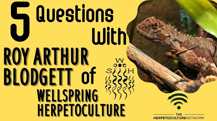 5 Questions with Roy Arthur Blodgett of Wellspring...