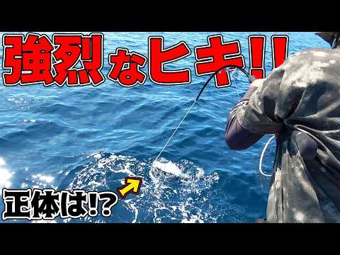ナブラを発見したら全速力で突っ込む！？強烈なヒキのアイツを釣り上げる！！