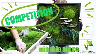 How to make a moss art piece from scratch + GIVEAWAY