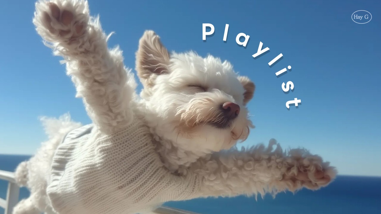 Playlist ☁️ Flying Mood ✈️ Приятное начало дняㅣРабочий BGM · Фокус · Morning Pop · КафеㅣHay G 💙