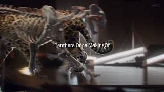 Jaguar breakdown By MPC