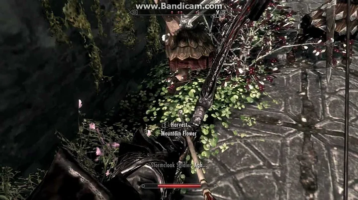 Skyrim imperial missions 6 ( the battle of windhelm )