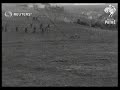 SPAIN: Spanish cavalry on military manoeuvres (1934)