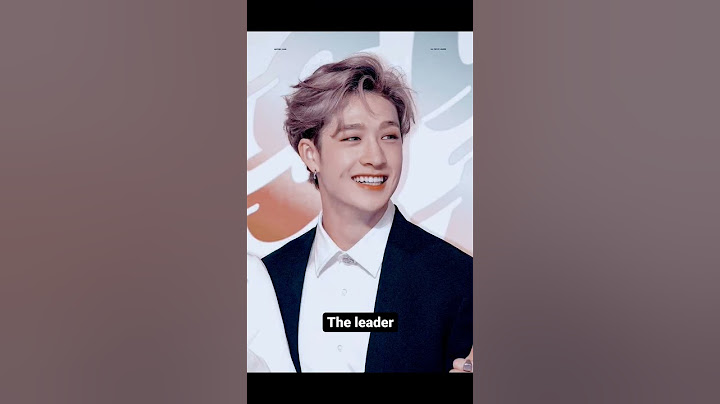Stray kids leader | Bangchan | Lee Know | Changbin | Hyunjin | Han | Felix | Seungmin | I.N