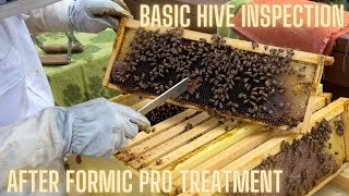 Details Basic Hive Inspection after Formic Pro Treatment Update