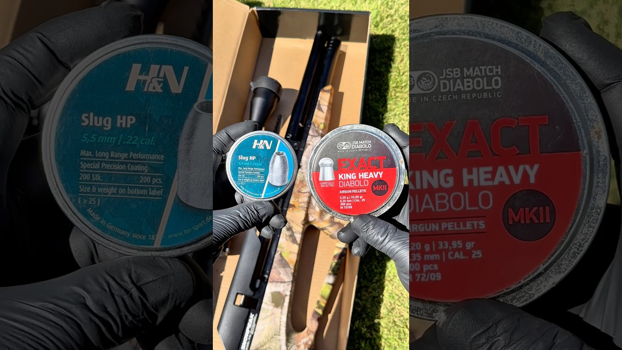 JSB Pellets vs H&N Slugs  