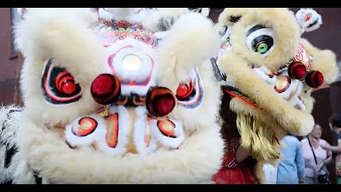 Young Lions - Documentary