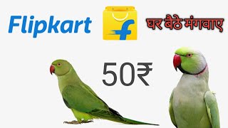 तोता मिठू Flipkart || online parrot pirce || online parrot kaise mangaya #parrot @RamTanwarVlogs_26 screenshot 1