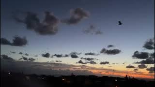 Cloud silhouettes appear suspended in front of sunrise whilst bird life awakens 🌅