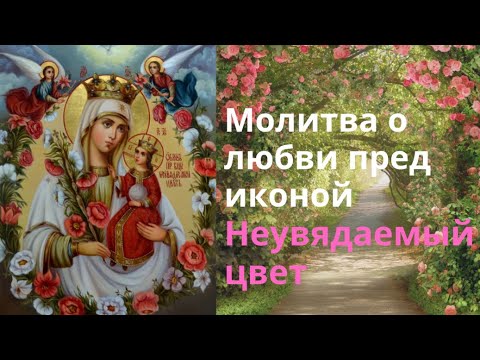 Молитва пред иконой Неувядаемый цвет о любви, красоте, замужестве,счастье в семье, женском здоровье