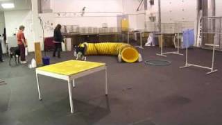 Intermediate 1 Agility Class: Week 1!