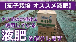 【茄子栽培　オススメ液肥】ナス苗の定植後に使用している液肥を紹介します