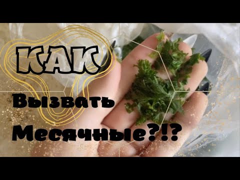 КАК ВЫЗВАТЬ МЕСЯЧНЫЕ?😱_ ❗ВЕРНЫЙ СПОСОБ❗+ ЭФЕКТ ЗА 4 ДНЯ_ саша