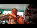 Danza Húngara N°1 de J. Brahms - Violín: José María Melgar