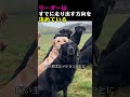 誰もが憧れる理想のリーダー