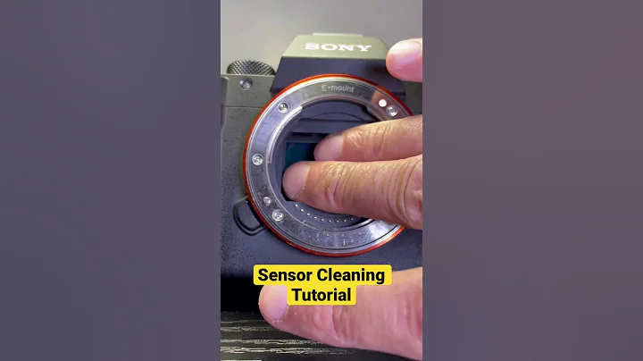 Camera Sensor Cleaning Tutorial - DayDayNews