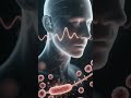 PANCREAS EXPLAINED IN 60 SECONDS – THE QUIET ORGAN RUNNING YOUR ENERGY