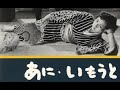 あにいもうと　　1953年製作　　成瀬巳喜男監督　　　出演者　京マチ子　久我美子　森 雅之
