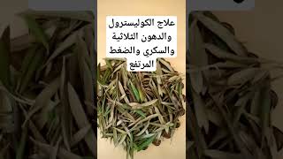 علاج الكوليسترول والدهون الثلاثية والسكري وضغط المرتفع