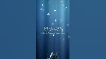 تلاوة مؤثرة تخشع لها القلوب ❤ياسر الدوسري