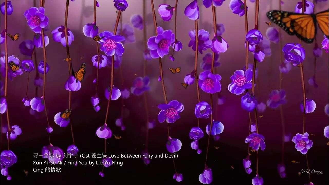 Xún Yī Gè Nǐ / Find You - Liu Yu Ning (寻一个你 - 刘宇宁 (Ost 苍兰诀 Love Between Fairy and Devil)) Xún Yī Gè Nǐ / Find You - Liu Yu Ning (寻一个你 - 刘宇宁 (Ost 苍兰诀 Love Between Fairy and Devil))
