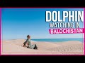 Balochistan | Dolphins, Dunes & Kund Malir Beach in Damb, Pakistan