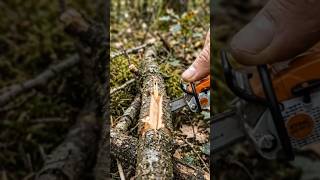 🔥 #TinyChainsaw #STIHL Tiny Chainsaw Cuts Giant Log?! 😱🪚 #Shorts