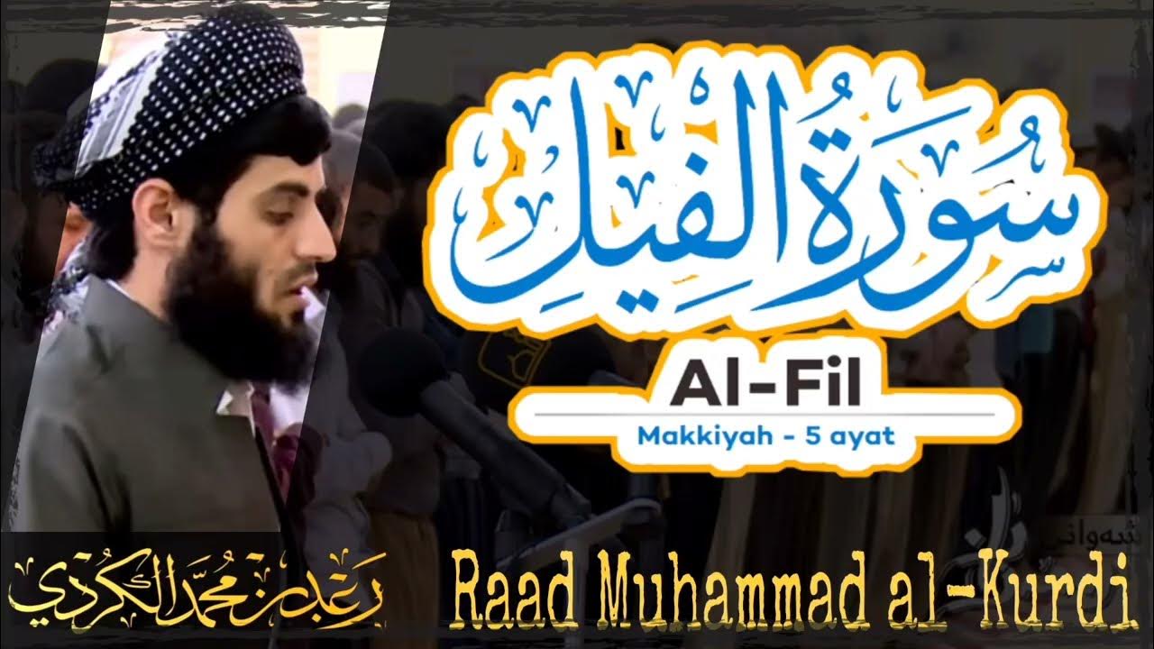 105 Surah Al Fil | سورة الفيل by Raad Muhammad al Kurdi | رعد محمد الكردي 105 Surah Al Fil | سورة الفيل by Raad Muhammad al Kurdi | رعد محمد الكردي