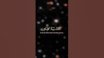 #محمد_صديق_المنشاوي #المنشاوي #تلاوات #القرآن_الكريم #quran #تلاوة #قرآن #القرآن #تلاوة_خاشعة #آيات
