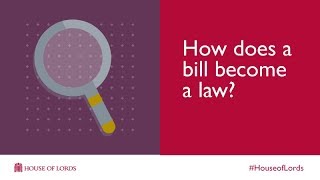 How does a bill become a law? | House of Lords