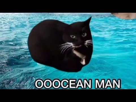 ocean man 🌊 🐈