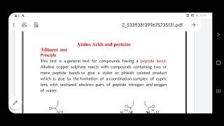 المحاضرة الرابعة عشر الأحماض الامينيه و البروتينات كشف بيوريت
