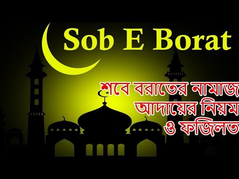 ভিডিও: ইউ নেসবে কীভাবে এবং কত উপার্জন করে