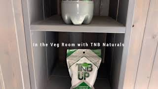 In the veg room with the TNB Naturals Co2 Enhancer canister.