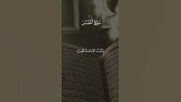سورة النصر || خذ دقيقة من وقتك و تاملها 🤍🤍