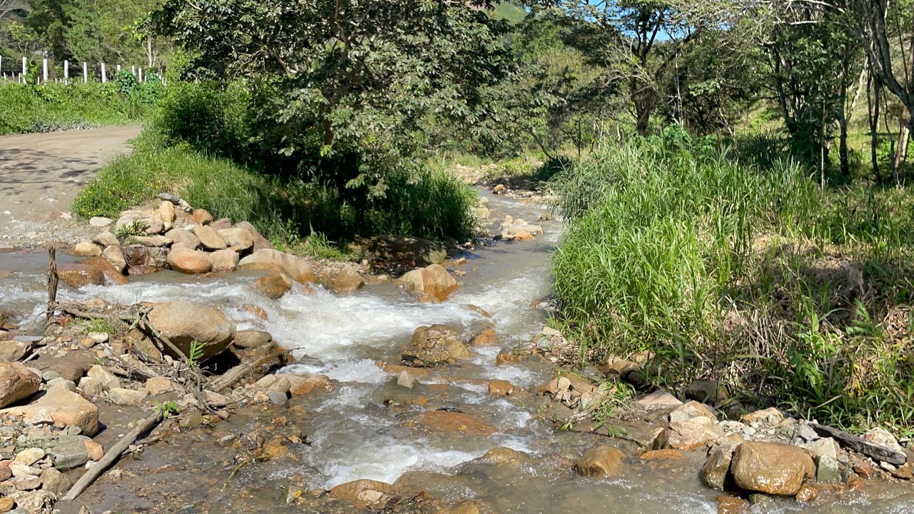Nos fuimos a disfrutar de mucha naturaleza con la familia 