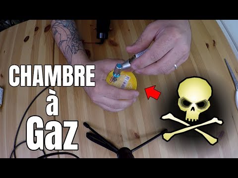 gazage syrie Je gaze des FOURMIS pour confirmer ma théorie ! Incroyable expérience !!