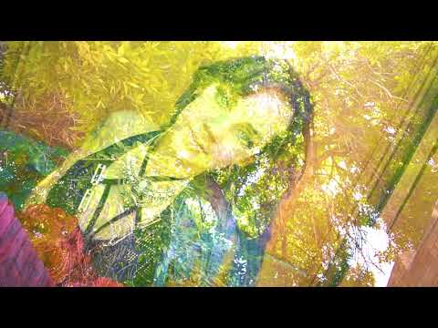 Spaceouters - Summerpark (Music Video) Video prod. by Keith Herman