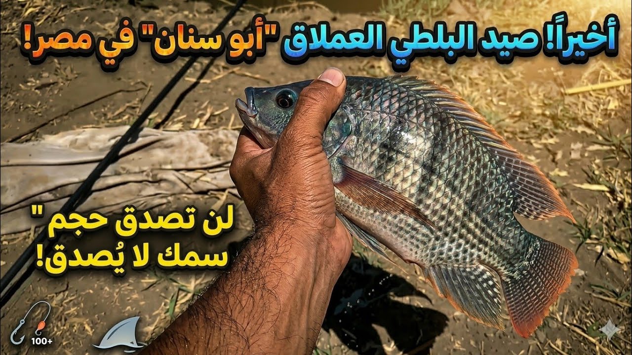 هجوم شرس للسمك في الترعه دي وأحجام بلطي عجول  ١٨ ديسمبر ٢٠٢٥