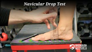 Navicular Drop Test