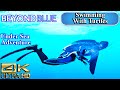 Swimming With Turtles | Beyond Blue - An Ocean Adventure | 4K