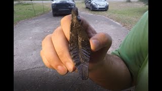 Teaching a beginner how to forge a leaf, He's better than me Part 3