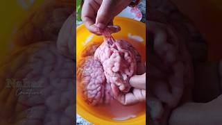 মগজ পরসকর এব গরর মগজ ভজ রসপ Mogoj Vuna Recipe