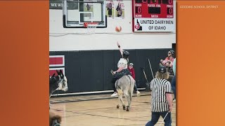 Donkey basketball night