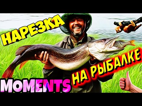 Необычные случаи на рыбалке/Неожиданная рыбалка/Трофейная рыбалка 2021/ВЕСЁЛАЯ РЫБАЛКА/