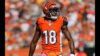 A.J. Green FULL 2017 Highlights