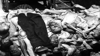 A pile of dead bodies and bone ash is seen at Buchenwald concentration camp in Ge...HD Stock Footage