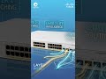Cisco Catalyst 1300 24-Port Switch | Reliable, Scalable Network Performance